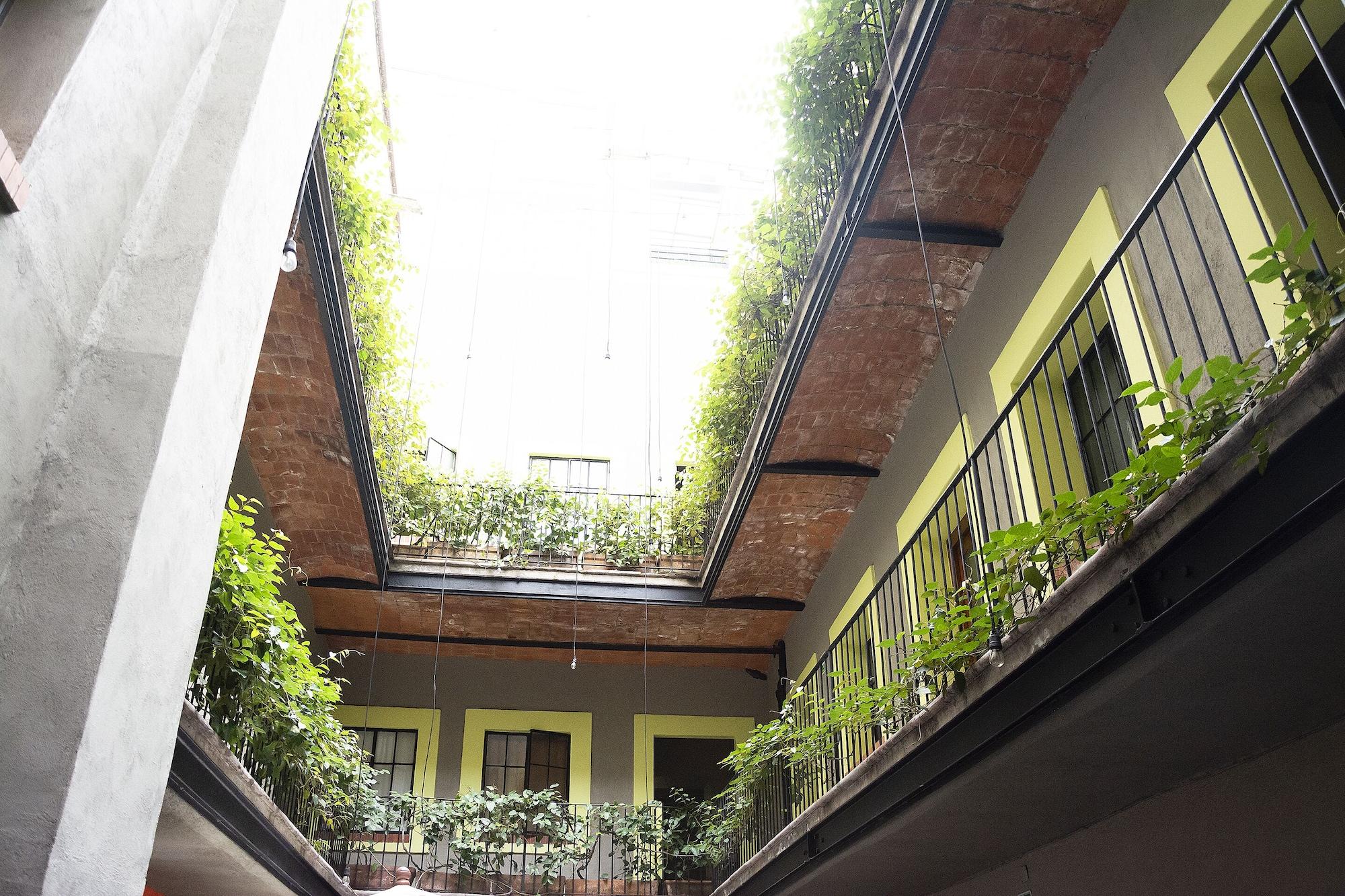 Downtown Beds Vandrerhjem Mexico by Eksteriør bilde